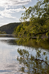 Similar image 1721009