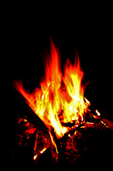 Similar image 1721010