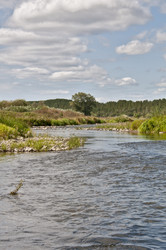 Similar image 1721027