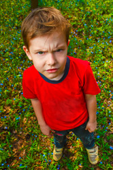 Similar image 1721062