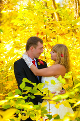 Similar image 1721120