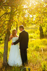 Similar image 1721123