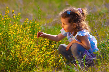 Similar image 1721142