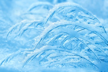 Similar image 1721275