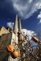 Similar image 1721349