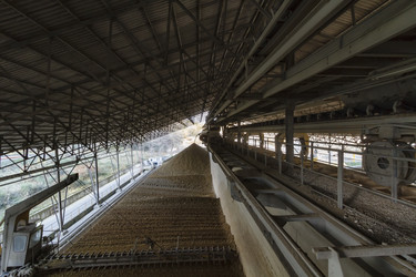 Similar image 1721351