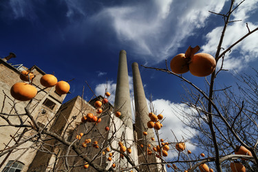 Similar image 1721356