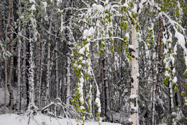 Similar image 1721372