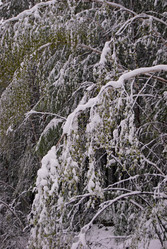 Similar image 1721374