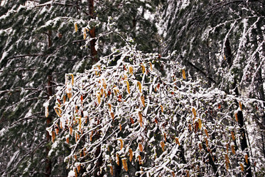 Similar image 1721375