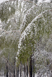 Similar image 1721389