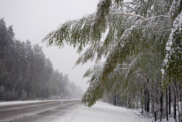 Similar image 1721390