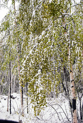 Similar image 1721396