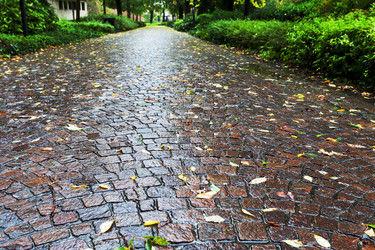 Similar image 1721418