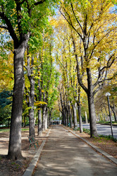 Similar image 1721559