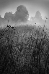 Similar image 1721614