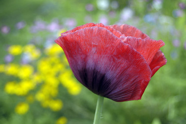 Similar image 1721616