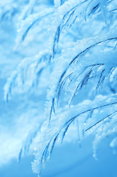 Similar image 1721626