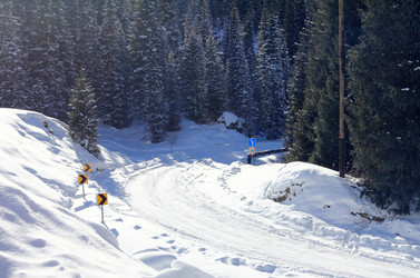 Similar image 1721649