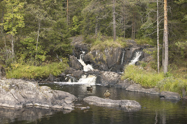 Similar image 1721653