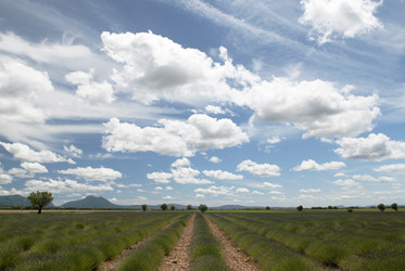 Similar image 1721718