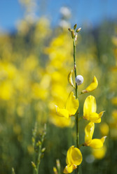 Similar image 1721719