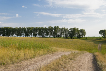 Similar image 1721750