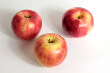 Similar image 1721798