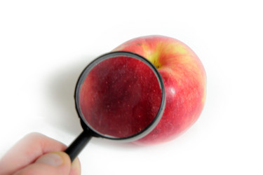 Similar image 1721799