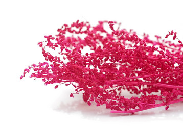 Similar image 1721988