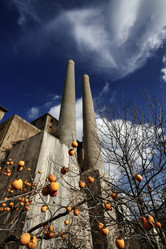 Similar image 1722039