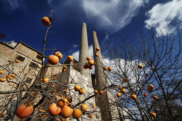 Similar image 1722054