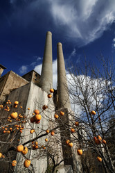 Similar image 1722056