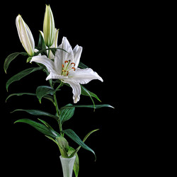 Similar image 1722059