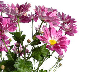 Similar image 1722061