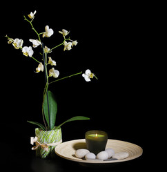 Similar image 1722064