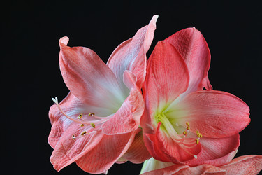 Similar image 1722065