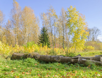 Similar image 1722150