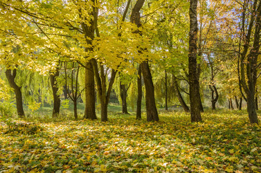 Similar image 1722152