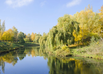 Similar image 1722153