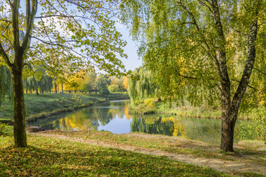 Similar image 1722154