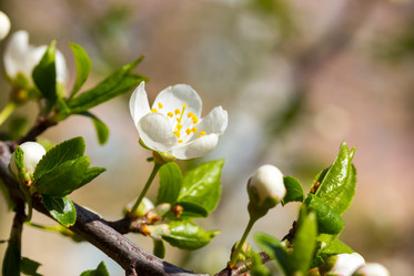 Similar image 1722164