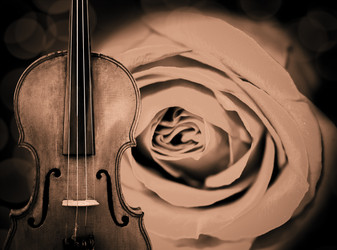 Similar image 1722171