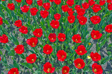 Similar image 1722474