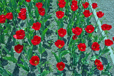 Similar image 1722476