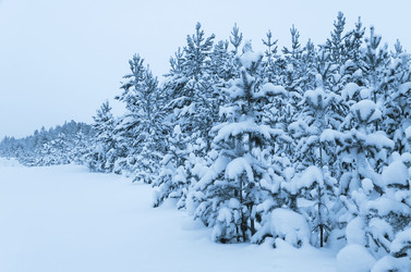 Similar image 1722492