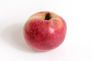 Similar image 1722562