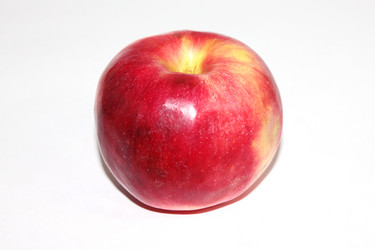 Similar image 1722563