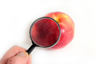 Similar image 1722591