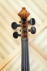 Similar image 1722712